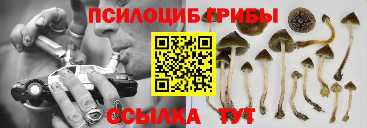 Галлюциногенные грибы Magic Shrooms  Галлюциногенные грибы ЛСД  Дербент  Вход с VPN 