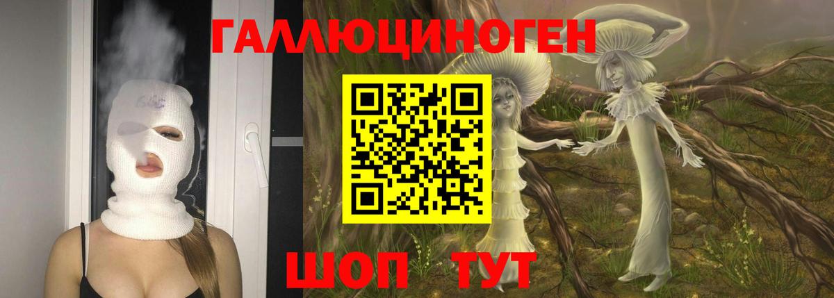 Галлюциногенные грибы Cubensis Дербент
